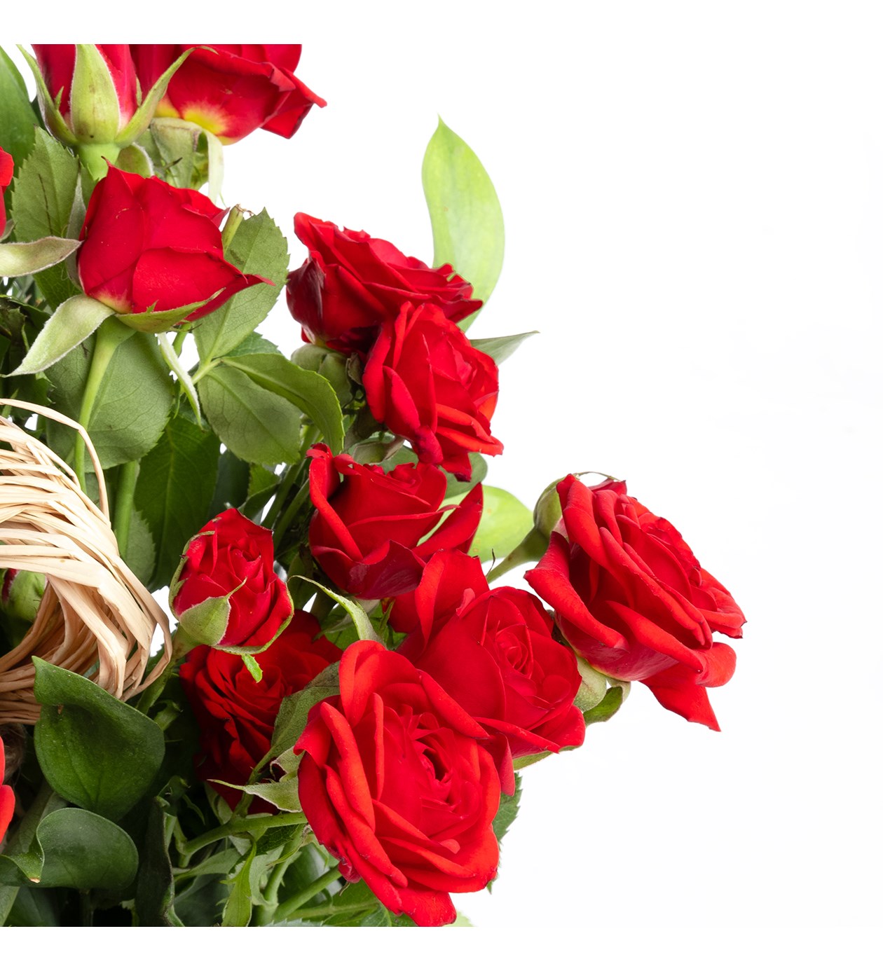 Özel Durum Çiçekleri