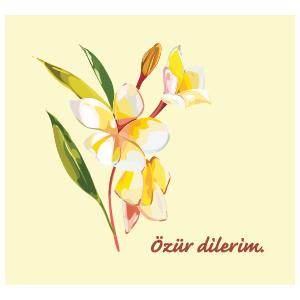 Özür Dilerim Kartı